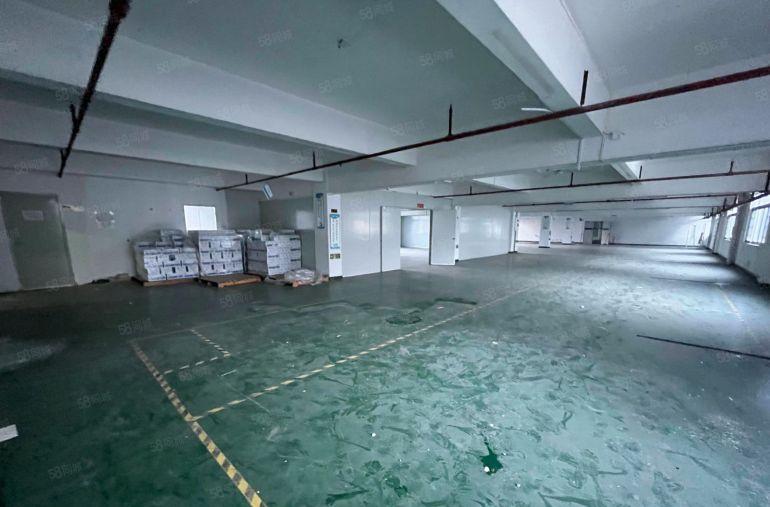 坂田杨美地铁口原房东红本厂房整层1460平方带精装修出租！