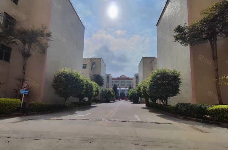 S龙岗一二楼每层500平方，大小可以分租。