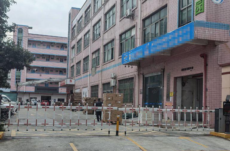 平湖独院新出一楼2100平方厂房仓库出租可分租空地大交通方便