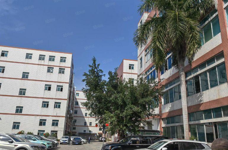 空地超大！龙岗爱联新空出一楼2000平方带现成完好的地坪漆