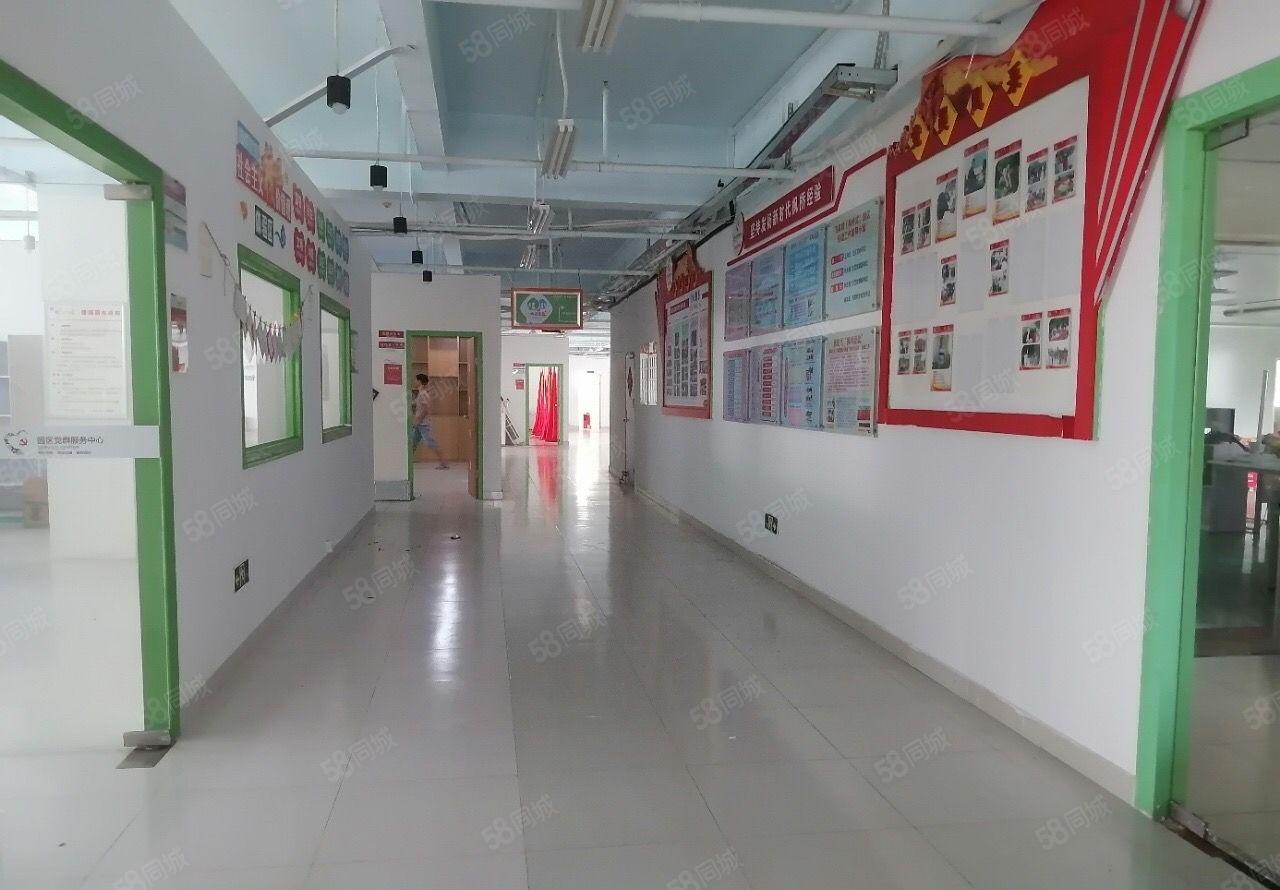 原房东1000平龙岗坪地厂房出租外环高速路口边带卸货平台