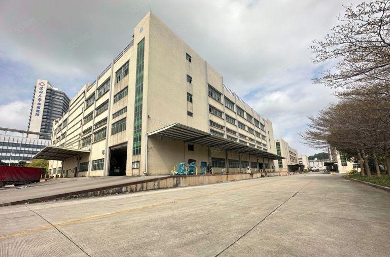 平湖物流仓库基地5000平起带卸货平台，消防喷淋超大空，红本