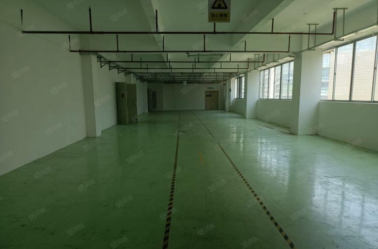 坪地高桥新出1200平原房东厂房实际面积出租