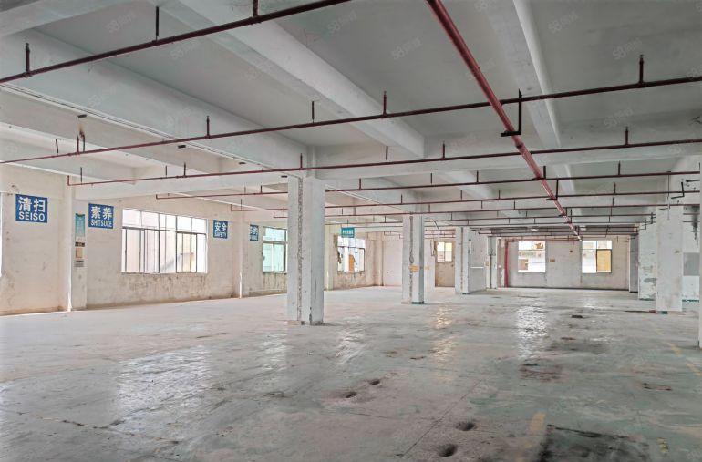 龙岗同乐独门独院！已全部翻新！免租期长！价格便宜停车免费！