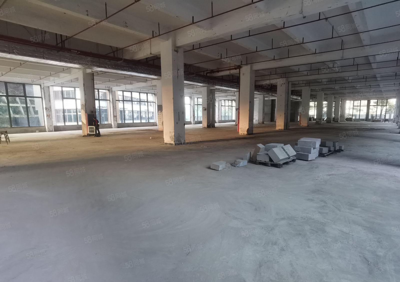 坂田原房东带红本厂房出租60000平