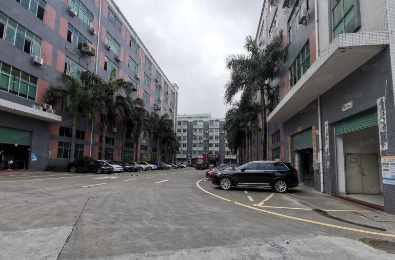 坂田杨美一楼500带装修带仓库和办公室园区空地大