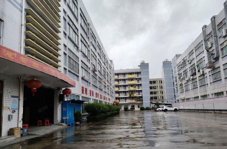 平湖大型的电商产业园新出2楼850平方厂房仓库出租