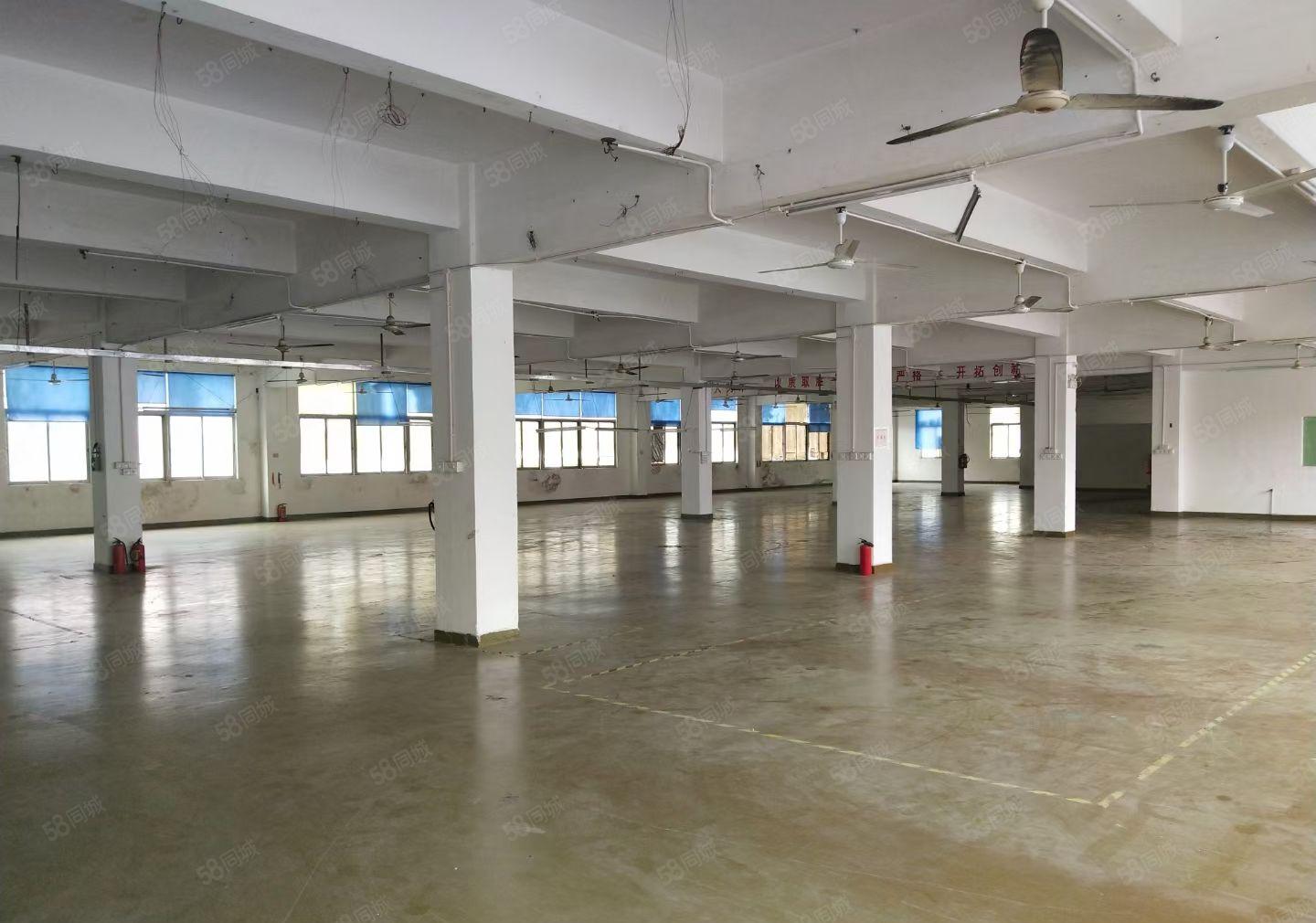 华南城边上木古宝来工业区原房东楼上1500平方出租面积没公摊