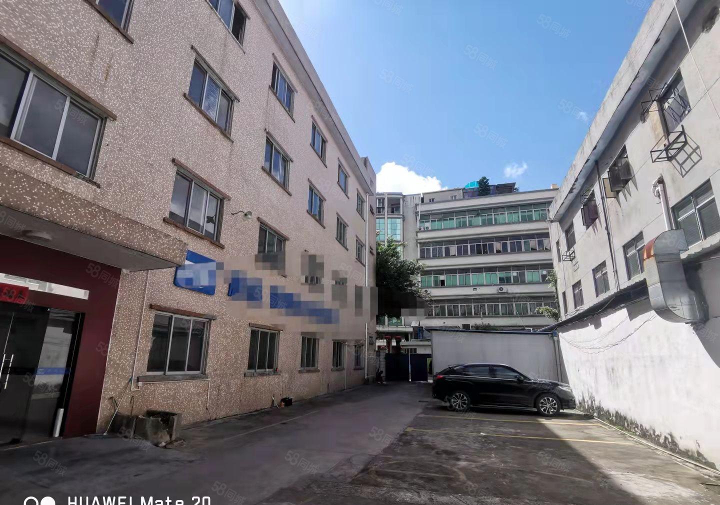 横岗安良3800平方独门独院出租空地大