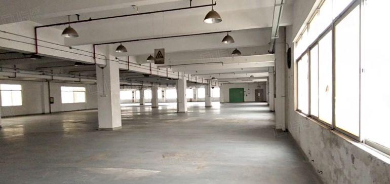 龙岗办公贸易电商厂房仓库加工及研发2000平出租