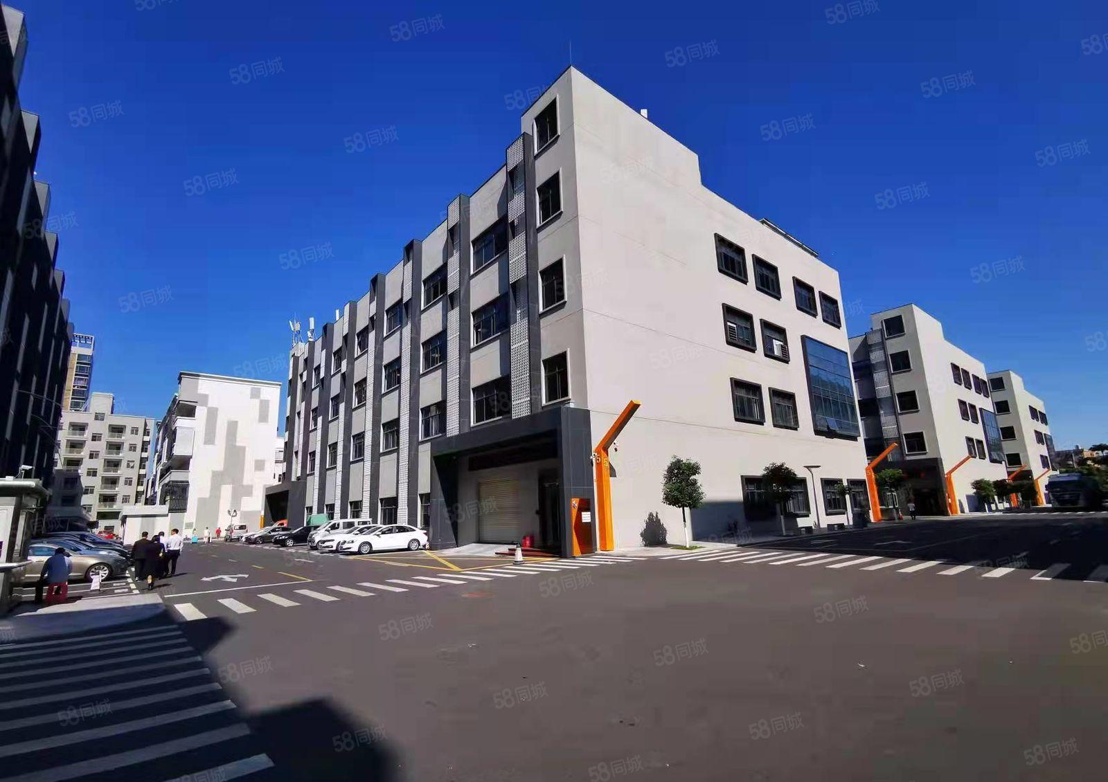 龙岗南联地铁站旁村委厂房500平出租精装修可办公仓库水电齐全