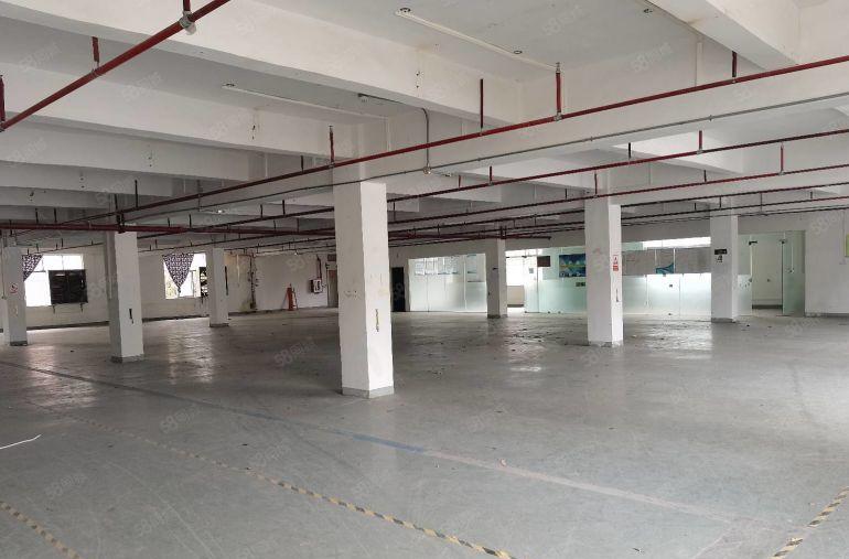 19元起租龙岗宝龙地铁口工业园一楼二楼2250平厂房出租分租