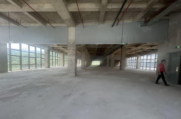 开发商实际面积出租，龙岗区园山新型生物医药厂房，带有废水排放