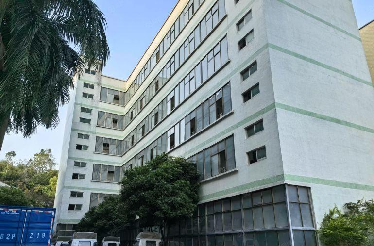 龙岗五联独门独院1000平出租，靠山环境清幽