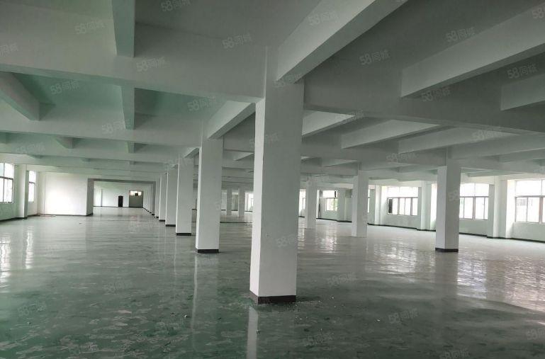 坂田工业区2000平方厂房仓库出租 超高使用率500平起租