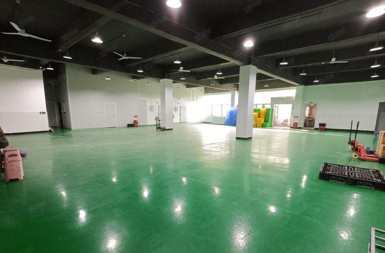 100平起租 坂田电商园1000平一楼厂房低价出租现成办公室