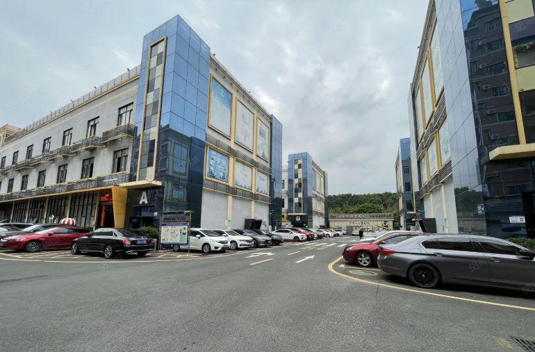 低价配置家私坂田地铁口电商园新出200平精装办公仓库厂房出租