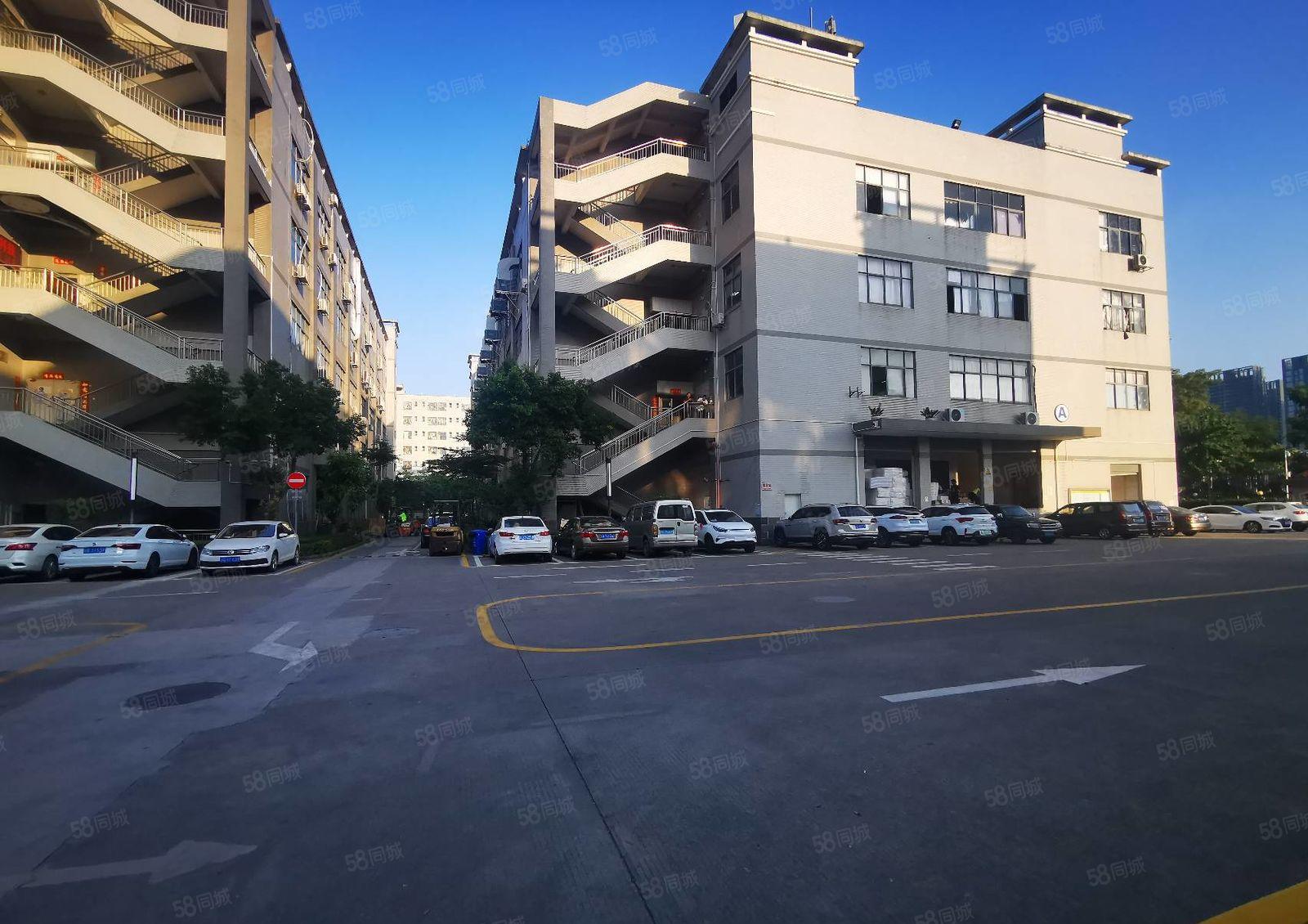 龙岗宝龙科技园精装修楼原房东5000平红本厂房出租