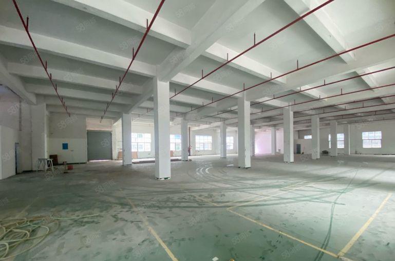 超长免租低价村委直租龙岗新空出5000平精装办公仓库厂房出租