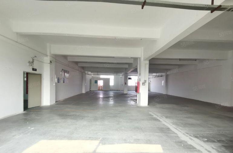 龙岗爱联500平米带装修厂房出租有吊顶有地坪漆