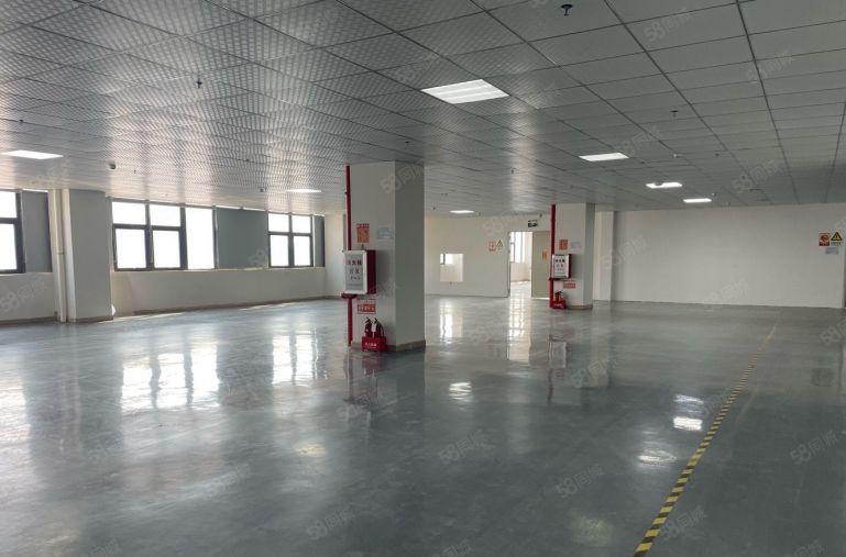 坂田北科技园新出楼上1000平现成装修办公室仓库厂房出租