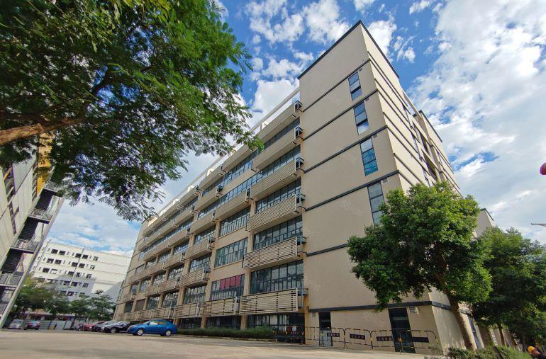 100平起租I横岗精装修电商厂房办公室仓库出租