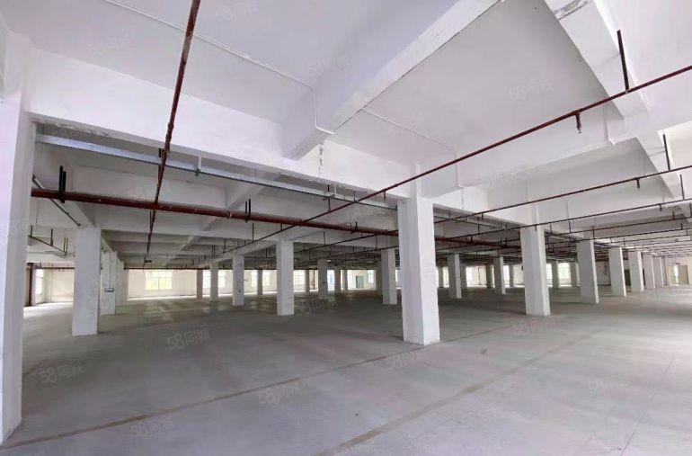 深圳龙岗带卸货平台一楼厂房低价出租厂房出租