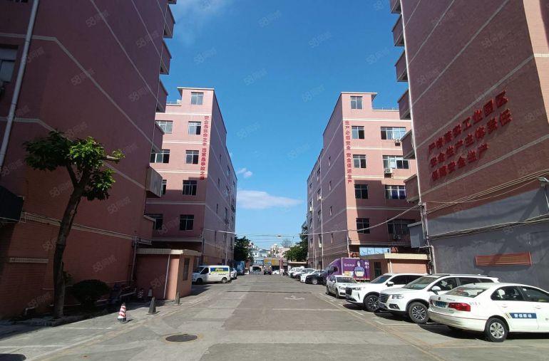 龙岗南联地铁附近原房东仓库1000平低价出租地坪漆水电是现成