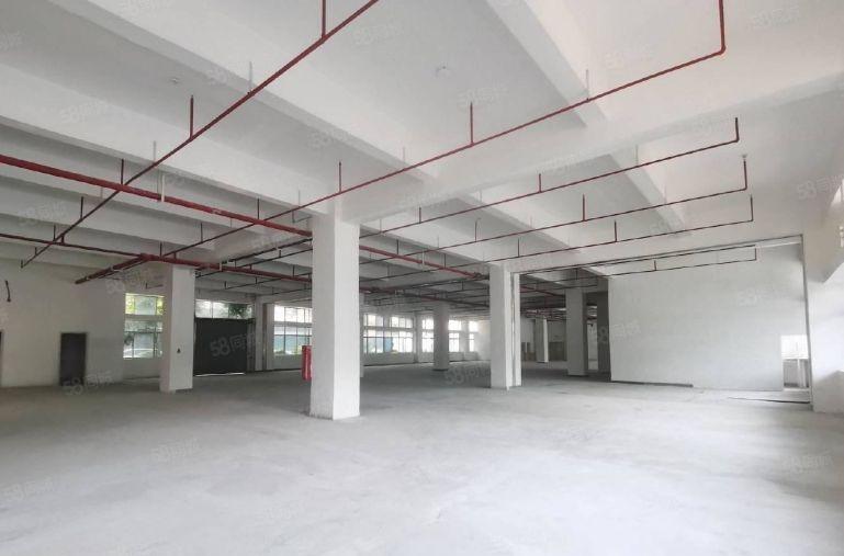 坂田新出红本补贴厂房100平200平至800平可分租