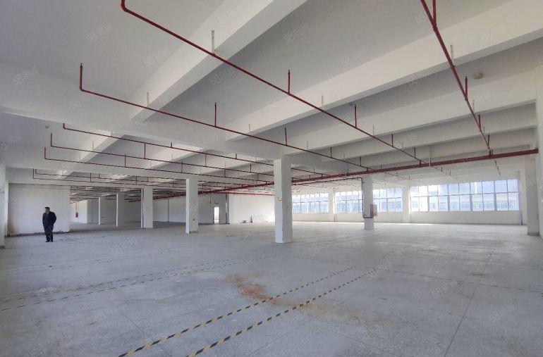 300平起分 横岗六约2000平厂房仓库出租 一手房东实用高