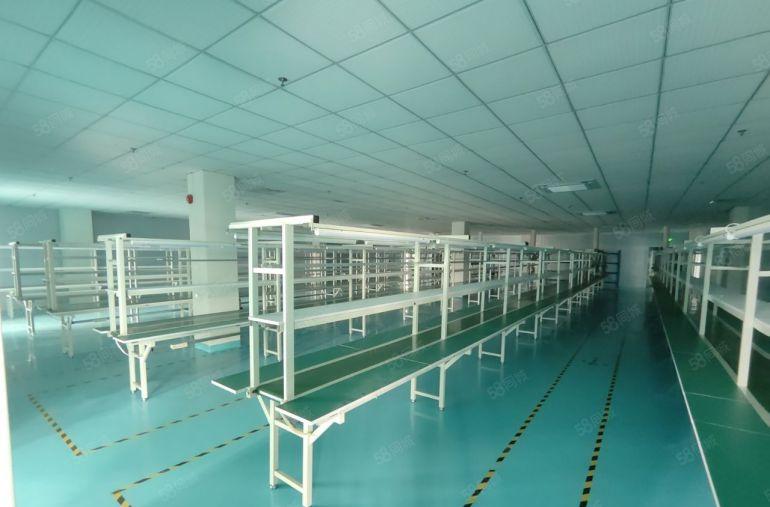 龙岗平湖工业园980平一楼厂房仓库出租带牛角可进大车空地大