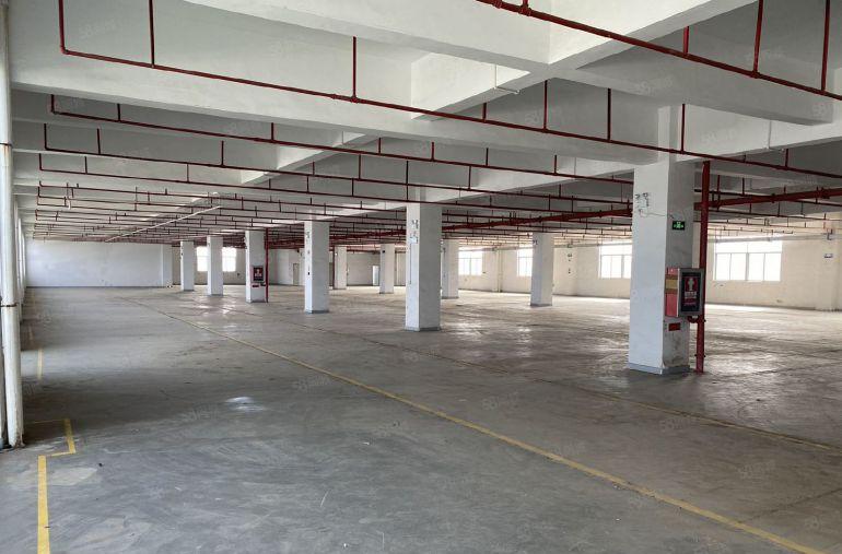 龙岗南联中心城5000平一楼二楼现场装修办公室厂房出租大小分