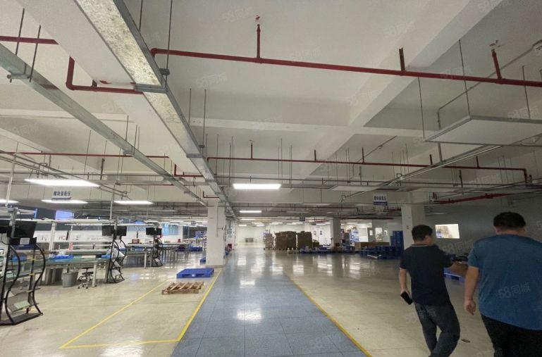 坂田雪象地铁口原房东楼上整层2000平方厂房出租！