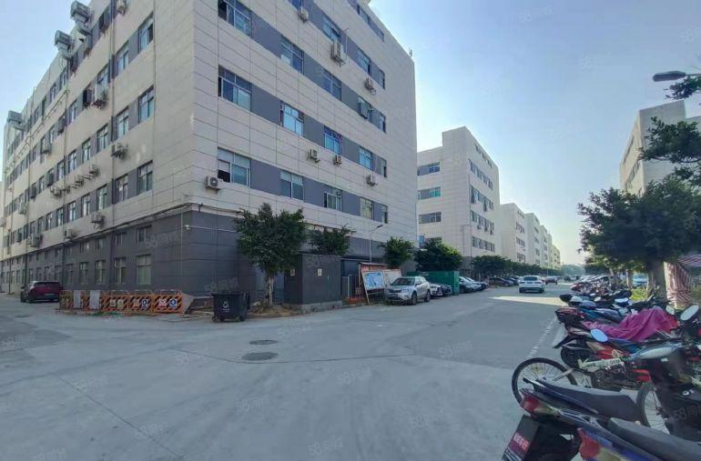 坂田生态园楼上500平精装修红本双证厂房出租仓库出租