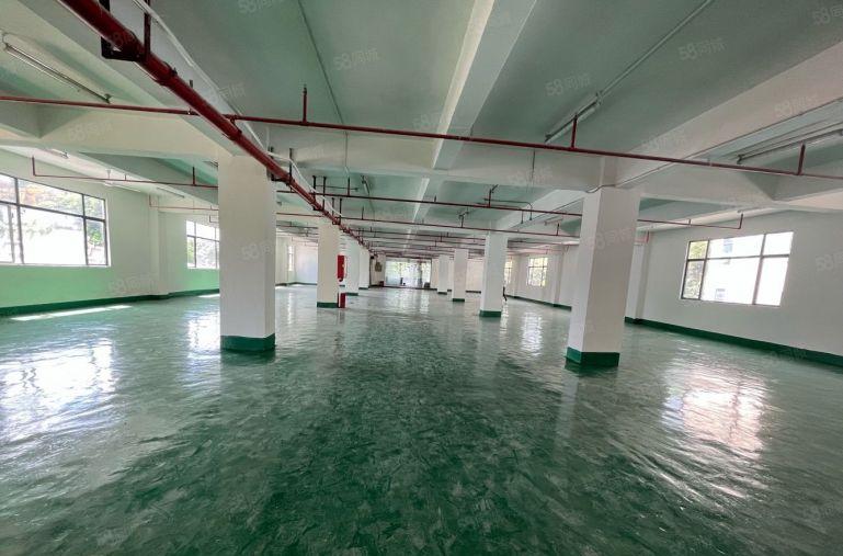 坂田上雪精装修2楼厂房出租1500平原房东带红本可分租