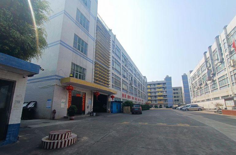 平湖华南城旁原房东1800平电商办公仓库厂房出租大小户型可选