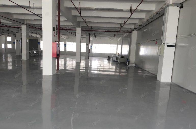 19元起租龙岗宝龙工业区新出二楼2000平厂房出租可分租一楼