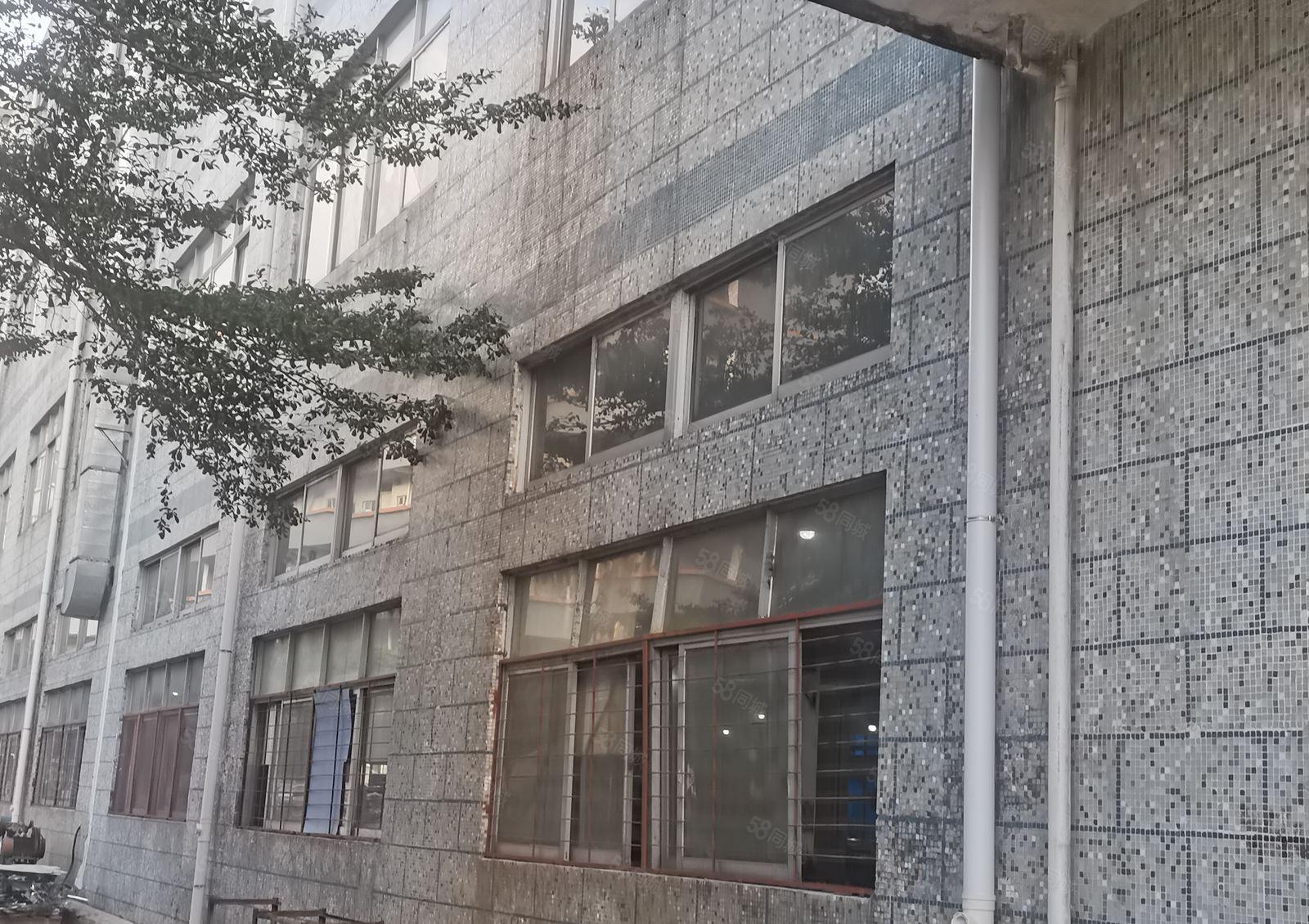 龙岗中心城南联工业园独门独院一楼1500平方现成装修厂房出租