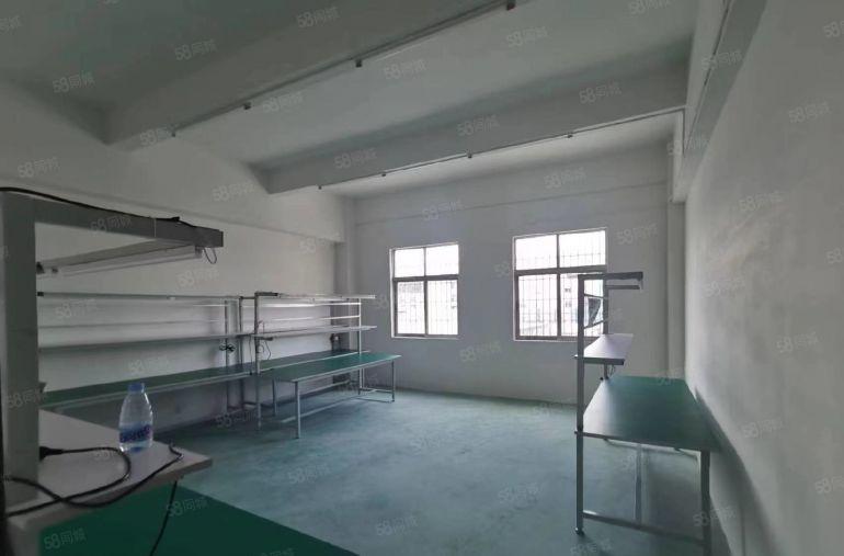 横岗荷坳1300平带现成流水线装修厂房面积
