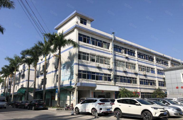 笋盘原房东带红本南联科技园新出300平精装修办公仓库厂房出租