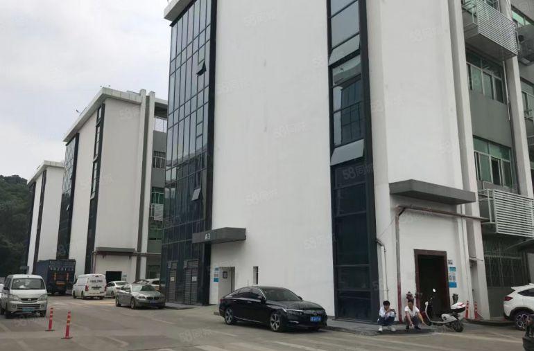 龙岗南联方兴科技有300平方至8000平方出租 租金20块起