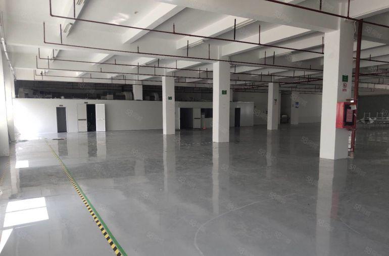 19元起租龙岗宝龙工业区新出二楼2000平厂房出租可分租一楼