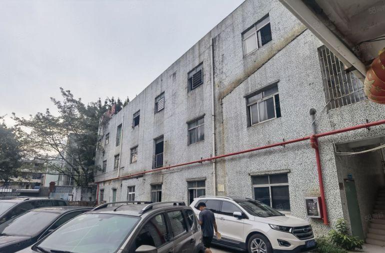 龙岗新生龙园大观新生路一楼700平整层可以分租一半