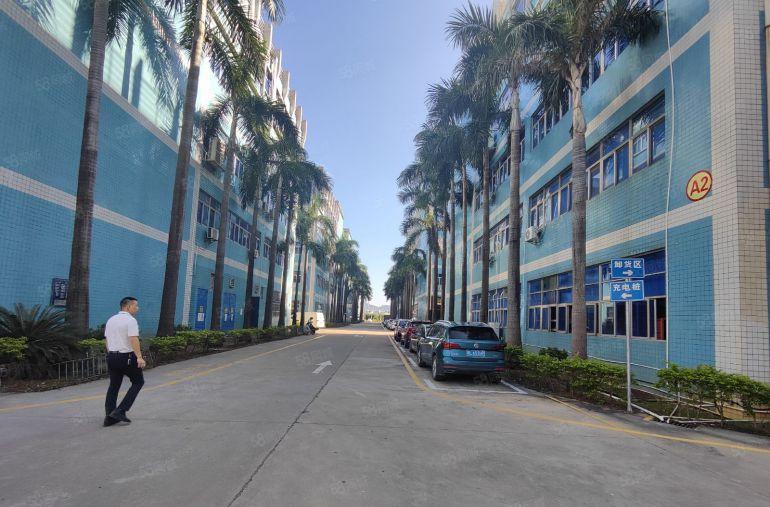 龙岗高新补贴园区对外出租6150平方，符合要求可拿房补。