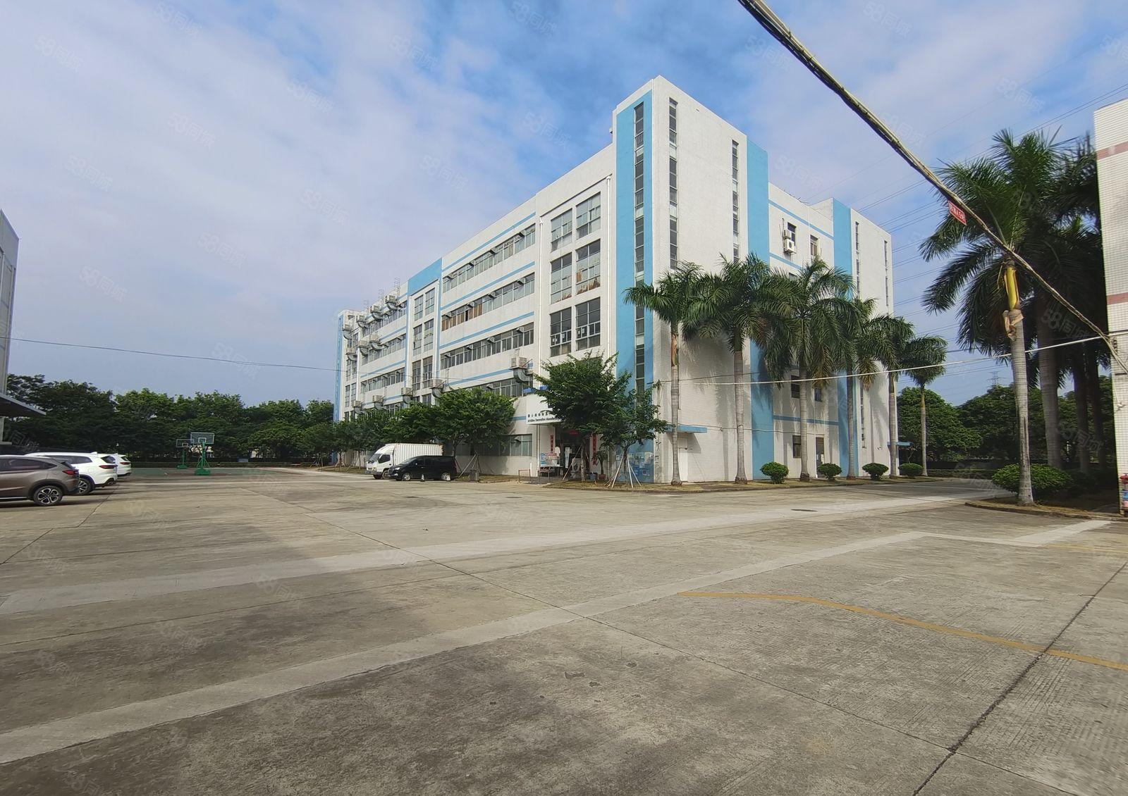 爱联大型电商园新空出500平方带精装修办公室仓库厂房出租