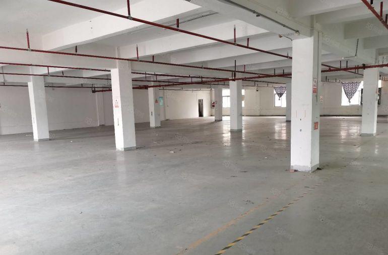 19元起租龙岗宝龙地铁口工业园一楼二楼2250平厂房出租分租