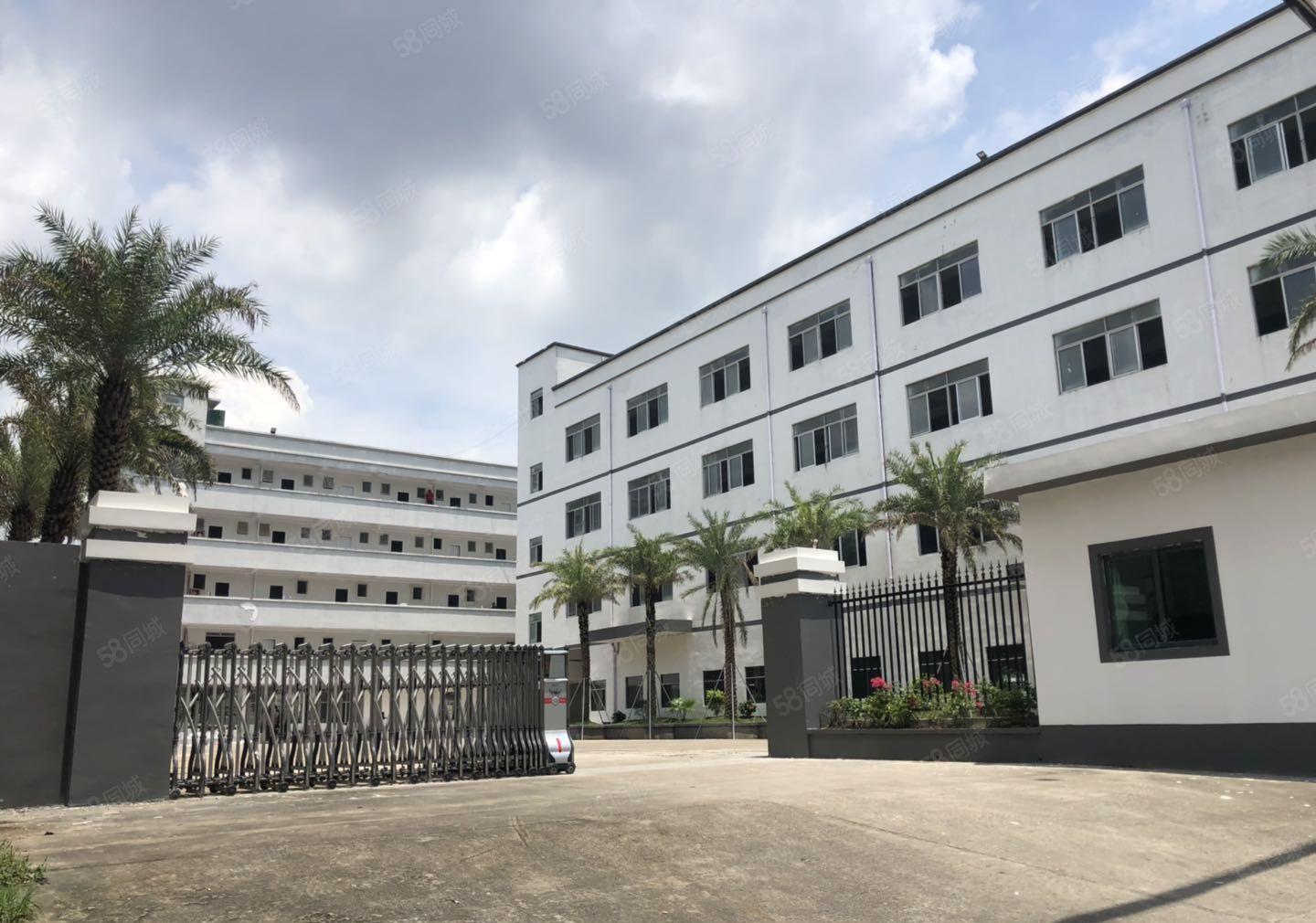 业主直租爱联嶂背独院一二楼500平起租带精装修厂房仓库出租