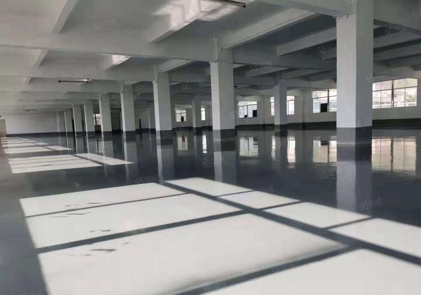 龙岗爱联嶂背工业区现成精装修楼上厂房500平方实际面积出租