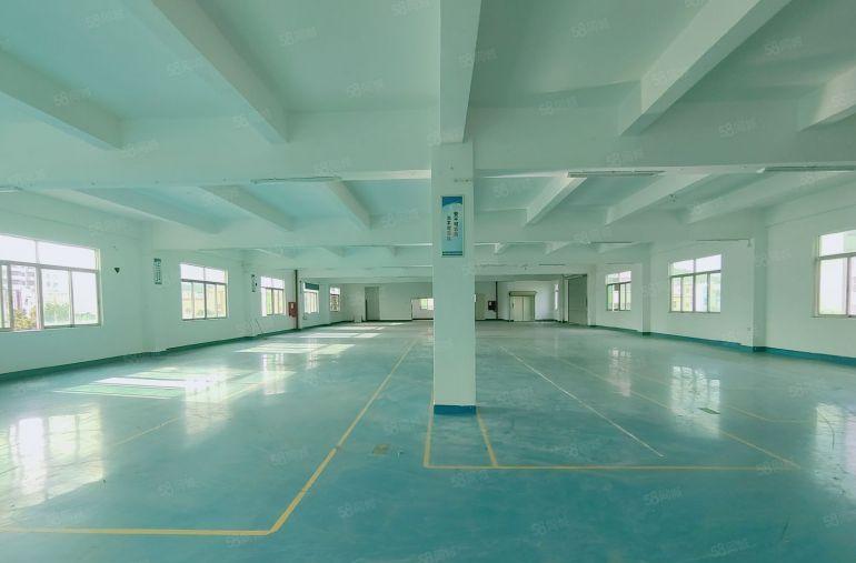 超大空地可分租平湖工业园新出楼上2千平厂房仓库出租22元起租