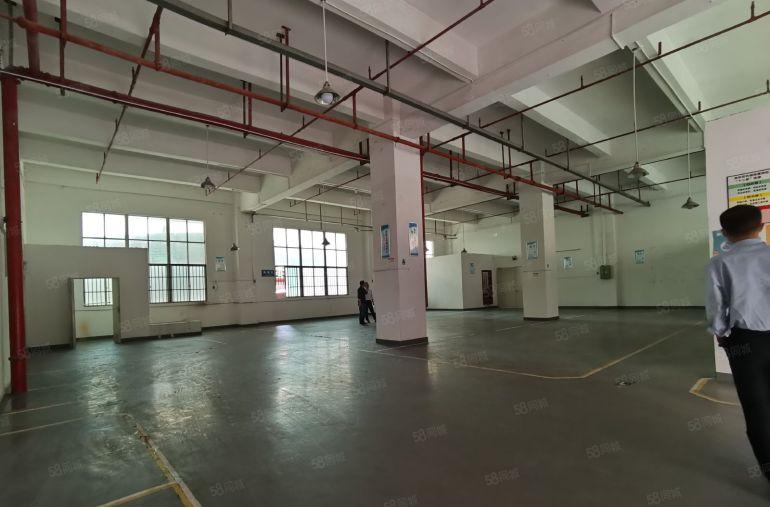 坂田原房东厂房一楼仓库，楼上电商厂房出租可分租小面积价格低